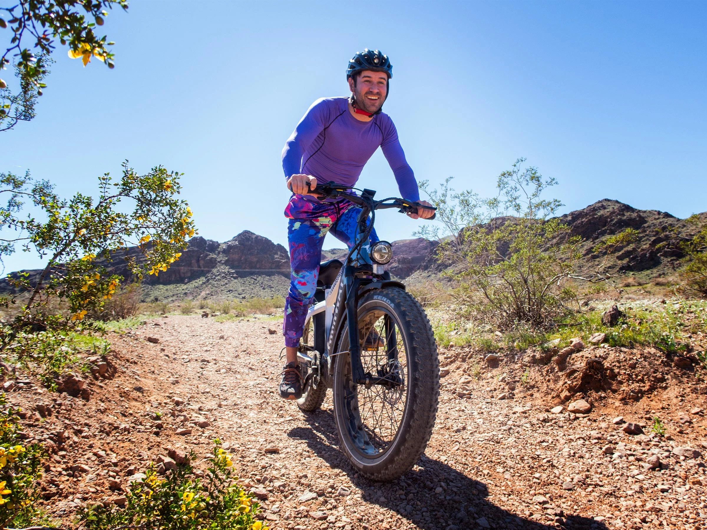 D5 Pro / All-terrain Electric Fat Bike - Image 4