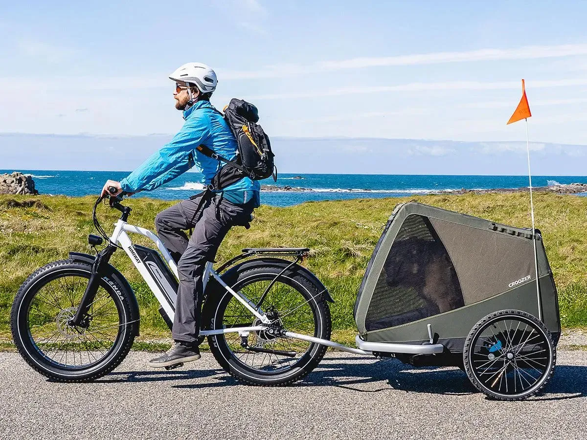 D3 ST(Cruiser ST) / All Terrain Electric Bike - Image 4