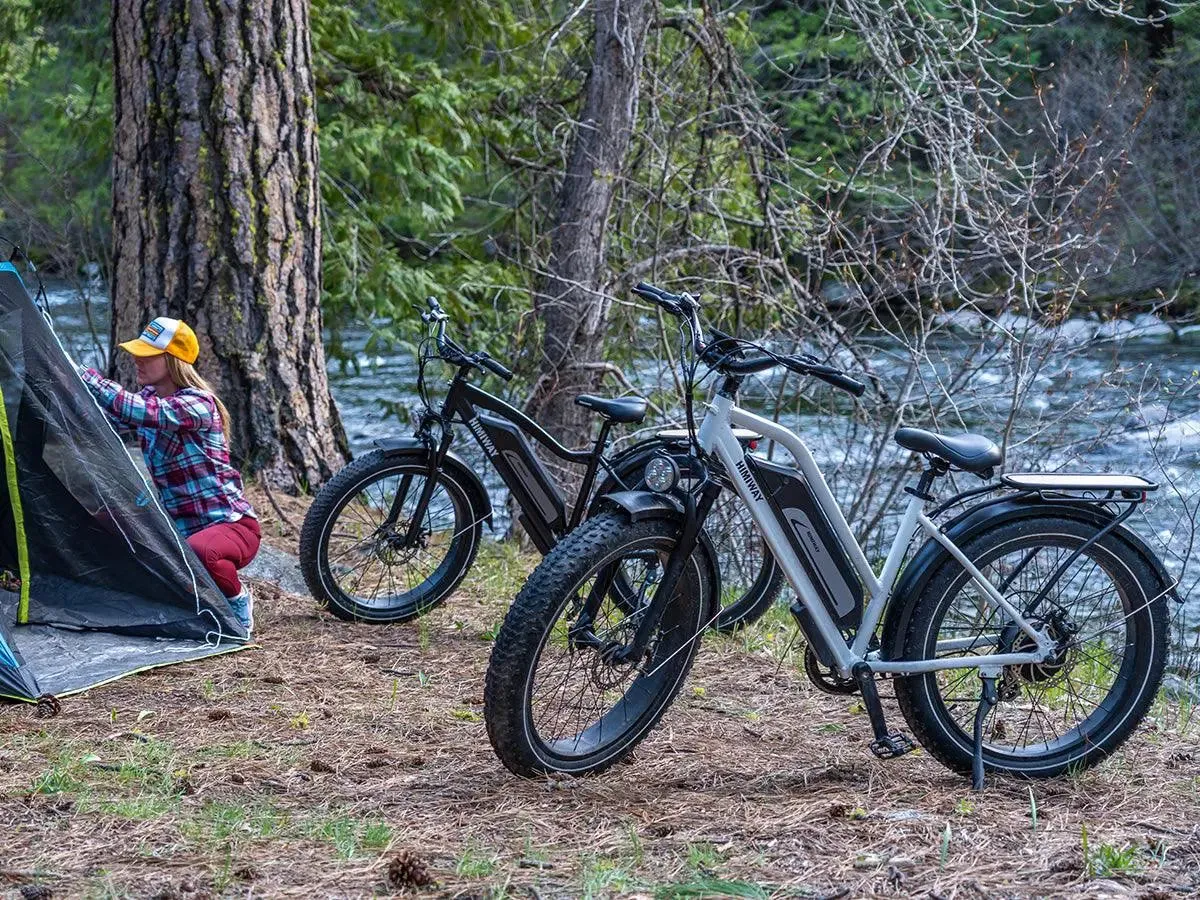D3 ST(Cruiser ST) / All Terrain Electric Bike - Image 5
