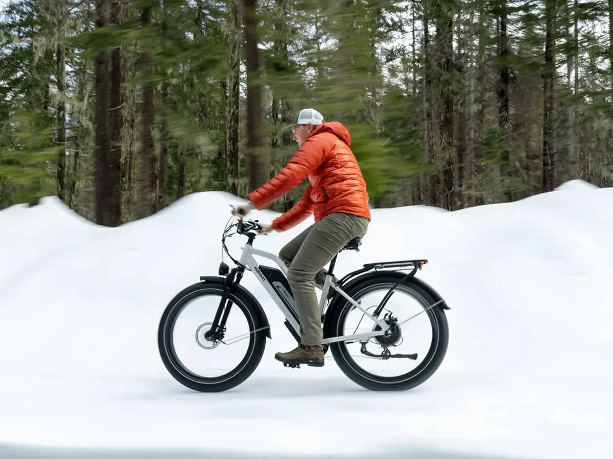 D3 ST(Cruiser ST) / All Terrain Electric Bike - Image 6