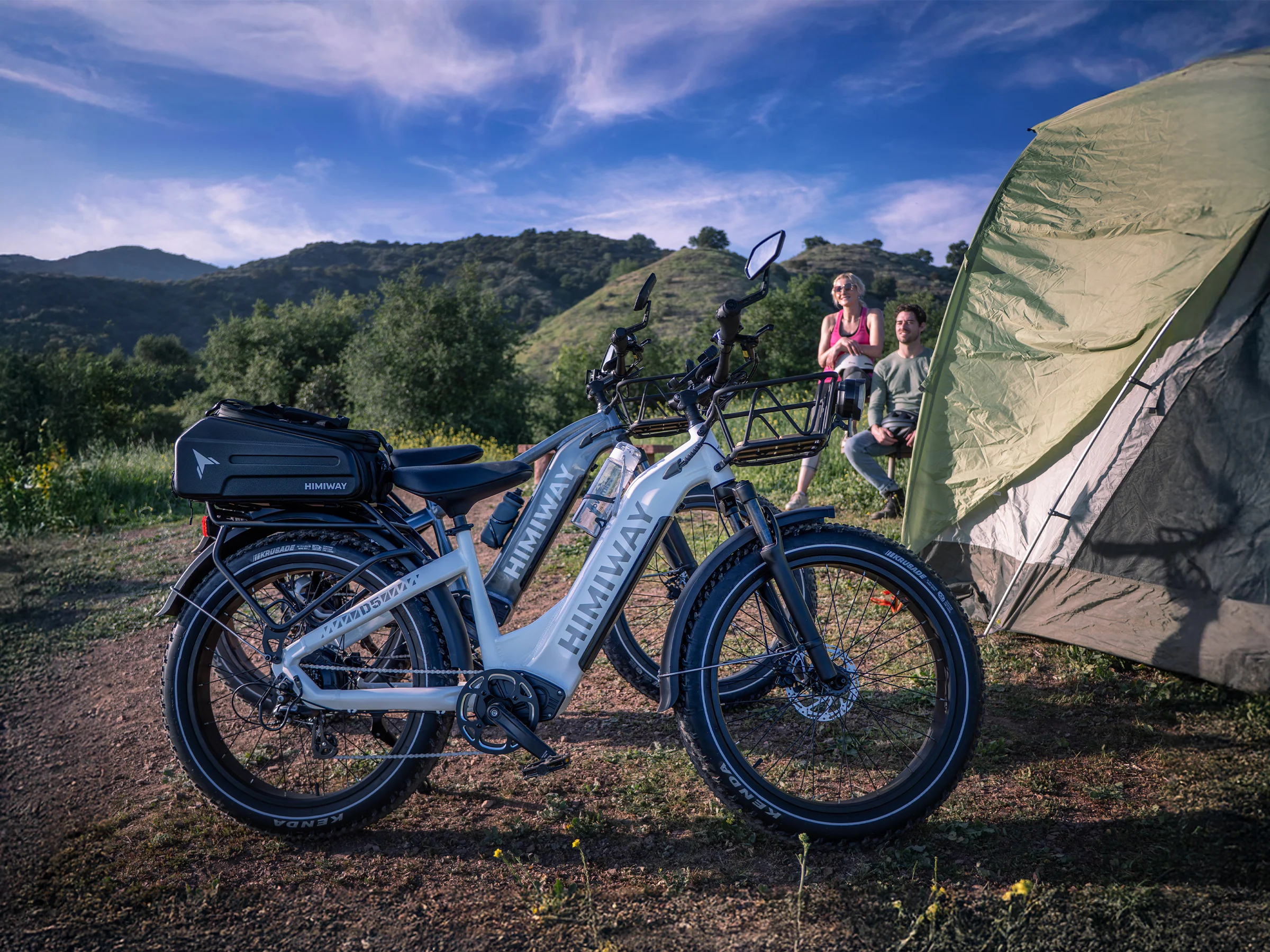 D5(Zebra) / All-terrain Electric Fat Bike - Image 7