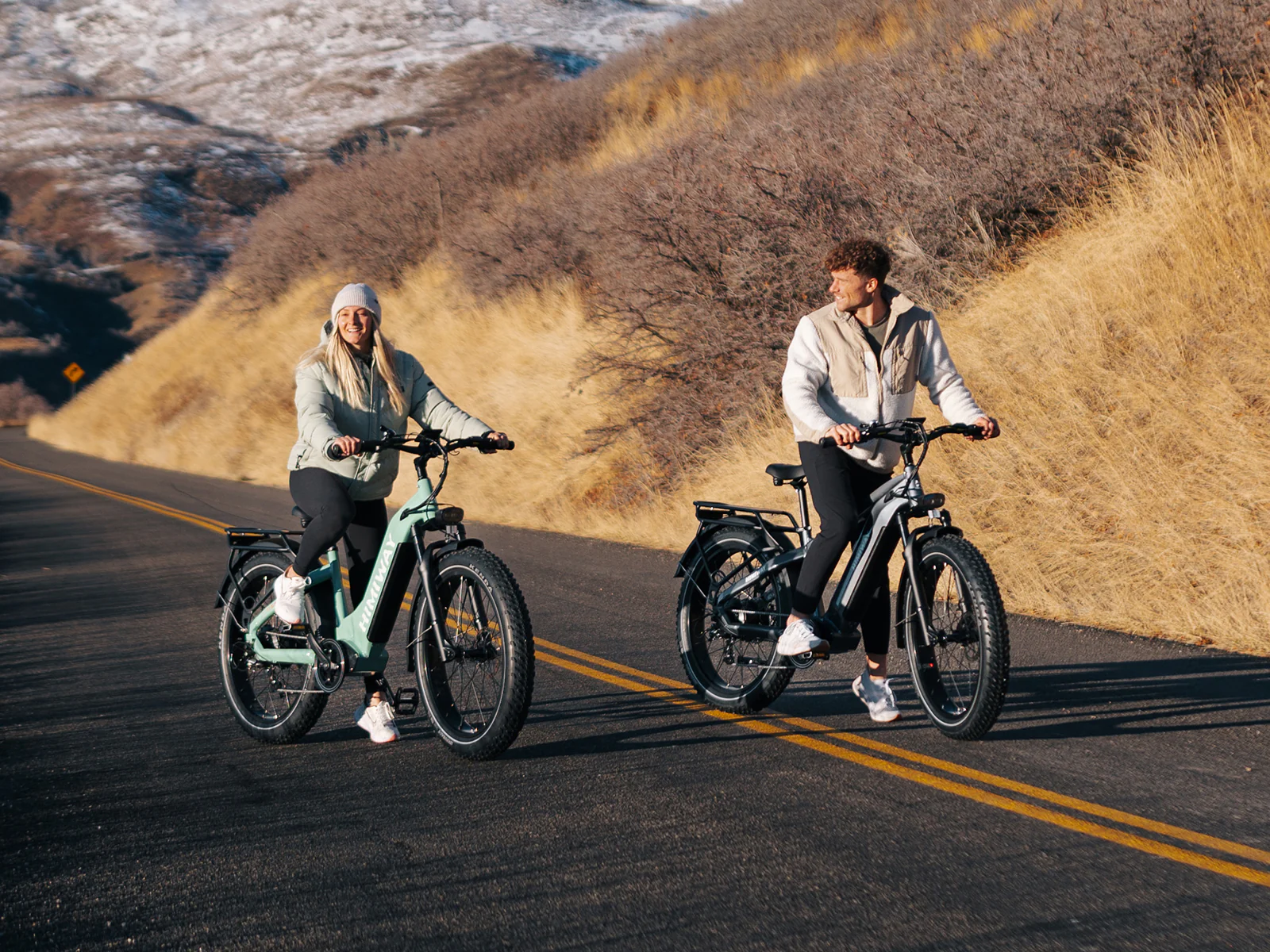 D5(Zebra) / All-terrain Electric Fat Bike - Image 8