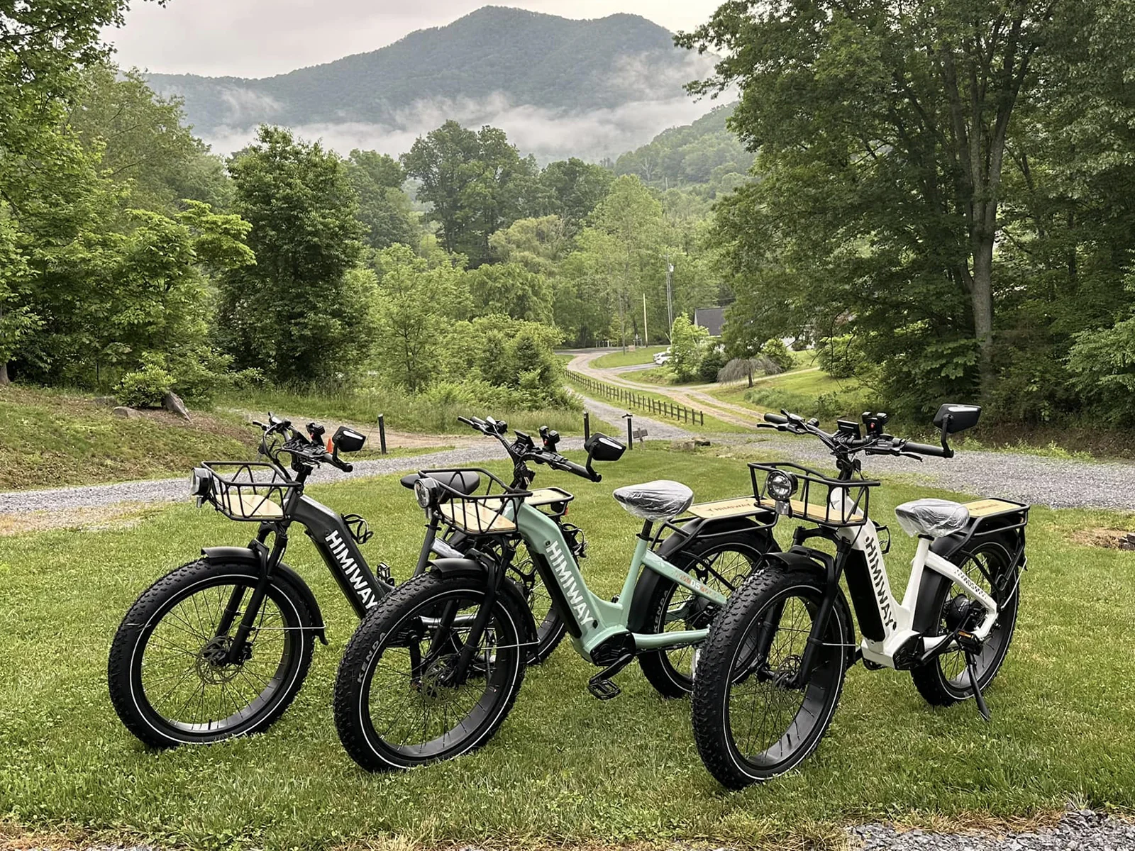 D5 ST(Zebra ST) / All-terrain Electric Fat Bike - Image 9